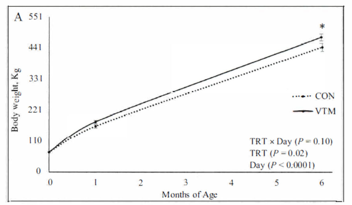 A line graph comparing the month on the bottom from 0 to 6 and the Body weight, Kg on the left from 0 to 551. A solid line for VTM and a dotted line for CON.