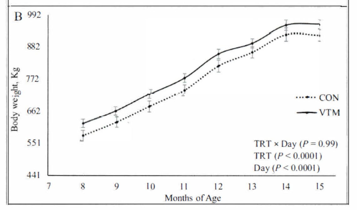 A line graph comparing the month on the bottom from 7 to 15 and the Body weight, Kg on the left from 441 to 992. A solid line for VTM and a dotted line for CON.
