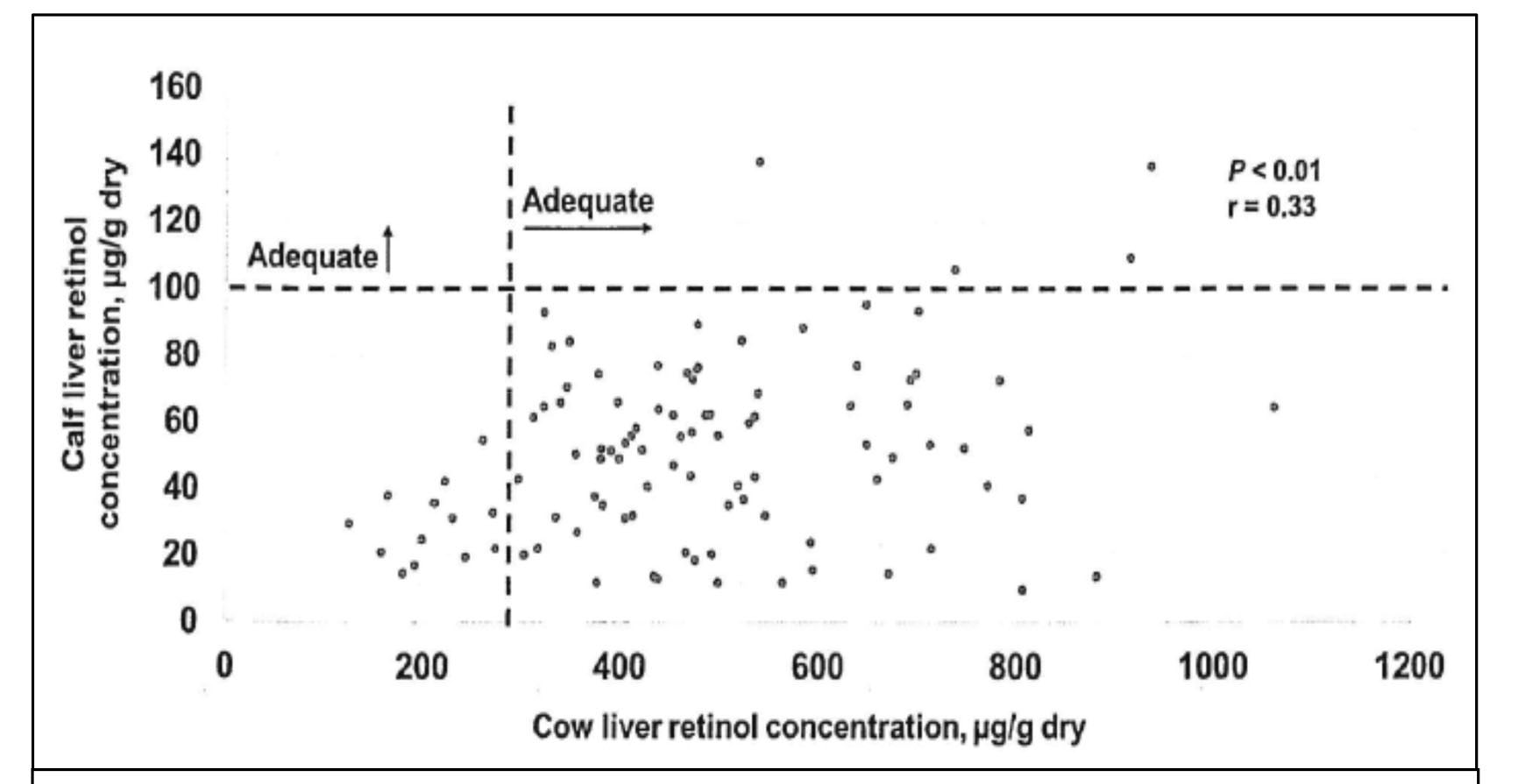 The graph displays calf liver retinol concentration (µg/g dry) on the left axis, ranging from 0 to 160, and cow liver retinol concentration (µg/g dry) on the bottom axis, ranging from 0 to 1,200. A horizontal dashed line at 100 is labeled ‘Adequate,’ with an arrow pointing upward, and a vertical dashed line at 300 is also labeled ‘Adequate,’ with an arrow pointing to the right.