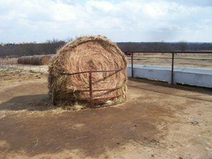 Round hay bale