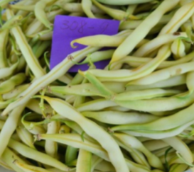 A purple sticky note buried in a bucket of light green snap beans.