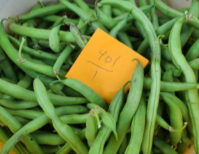 An orangr sticky note with the numbers '401/1' written on it, sitting on green snap beans.