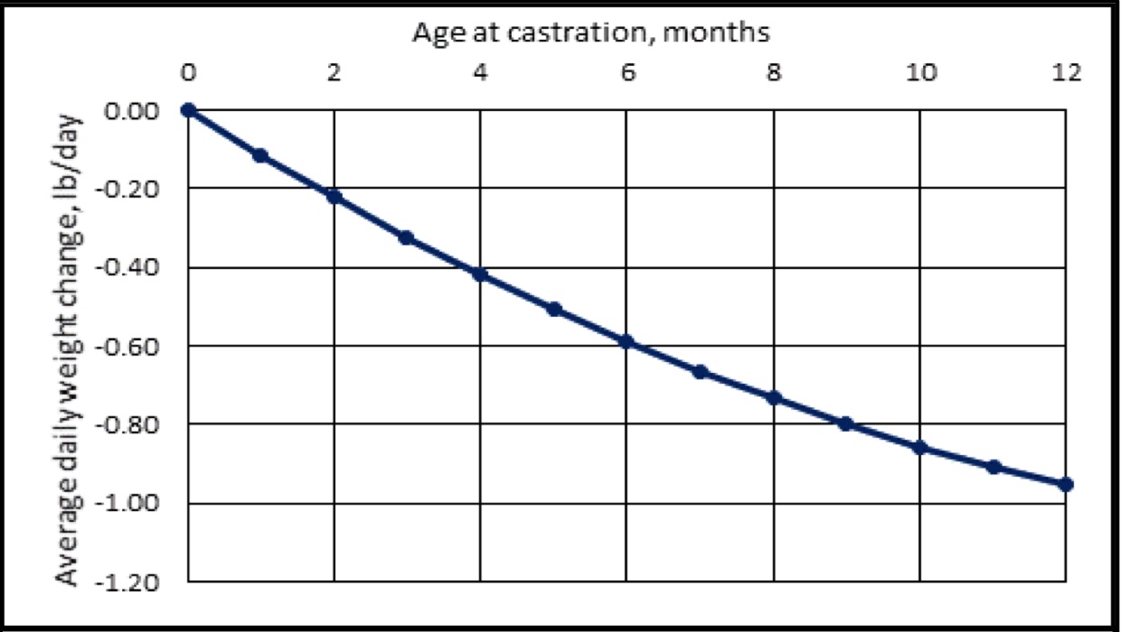 This table compares the avergage daily weight chsnge in pounds, per day on a heifer with the age at castration in months.