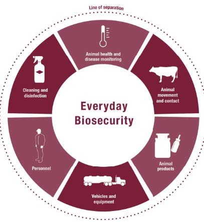Everyday Biosecurity chart: animal health and disease monitoring, animal movement and contact, animal products, vehicles and equipment, personnel, and cleaning and disinfection.