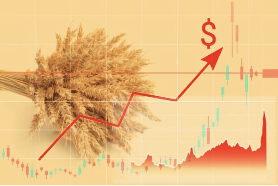 yellow-wheat.jpg Representation of the production of wheat increasing.