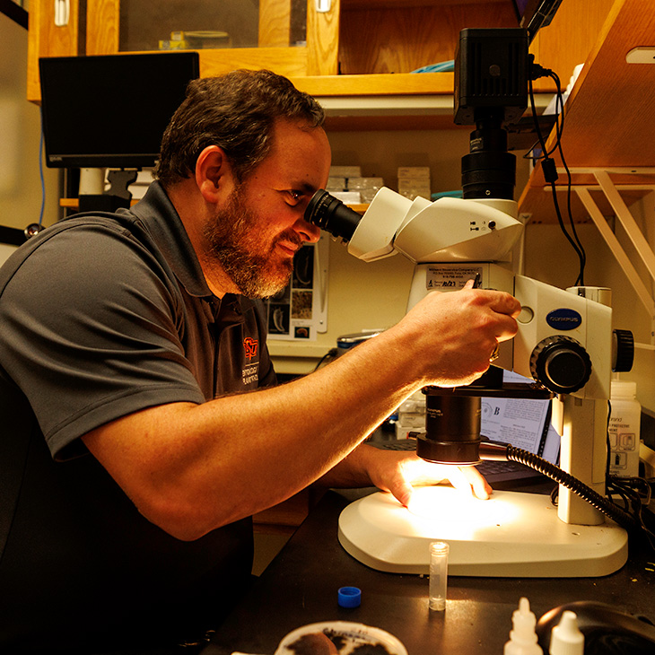 Jonathan Cammack is seated at a laboratory workstation and peers through the eyepiece of a white stereo microscope while carefully adjusting the focus with one hand. A bright built-in light illuminates a small sample on the microscope stage, with a vial, bottle and other lab materials nearby.