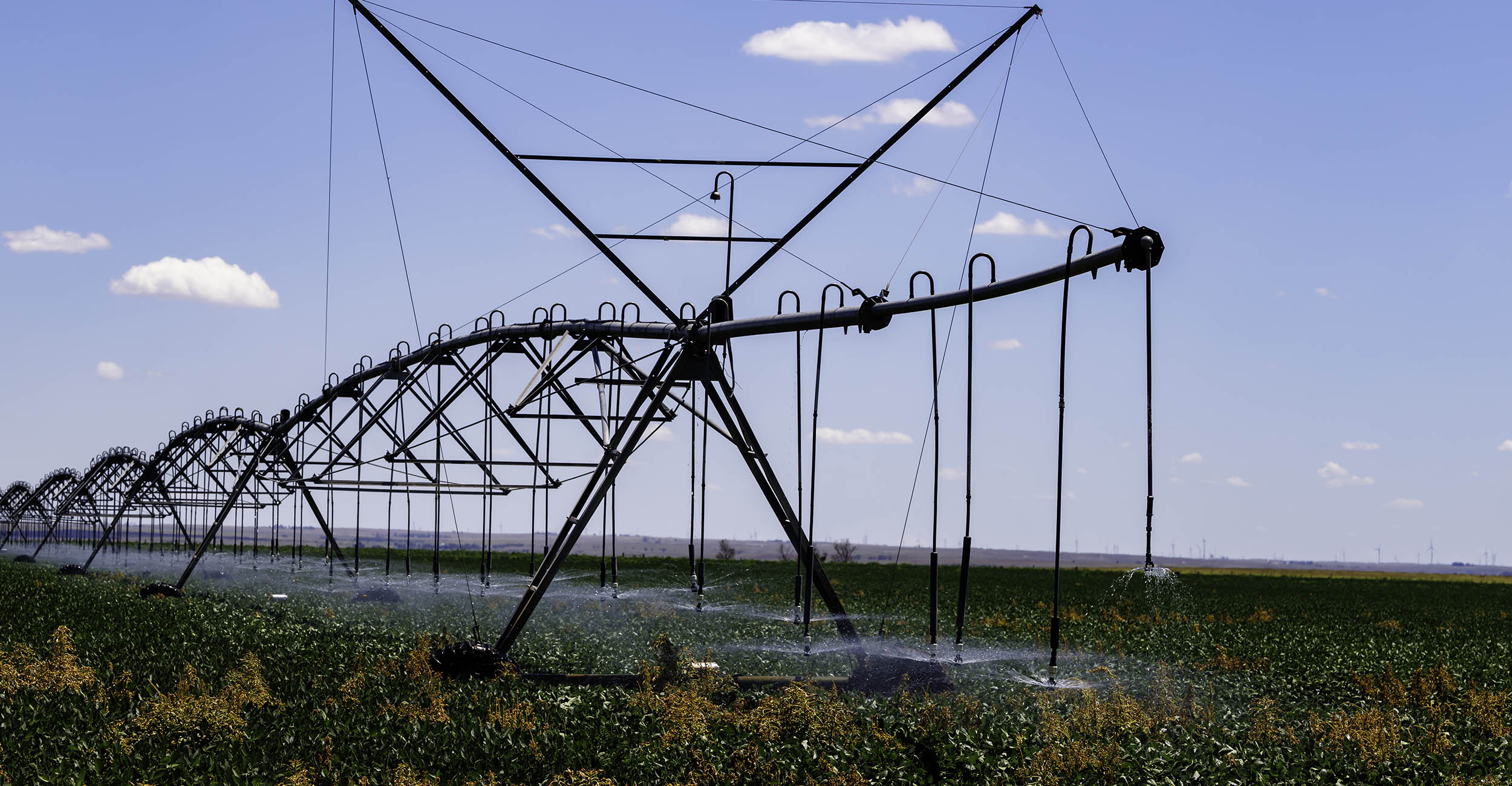 An irrigation system watering a crop field.
