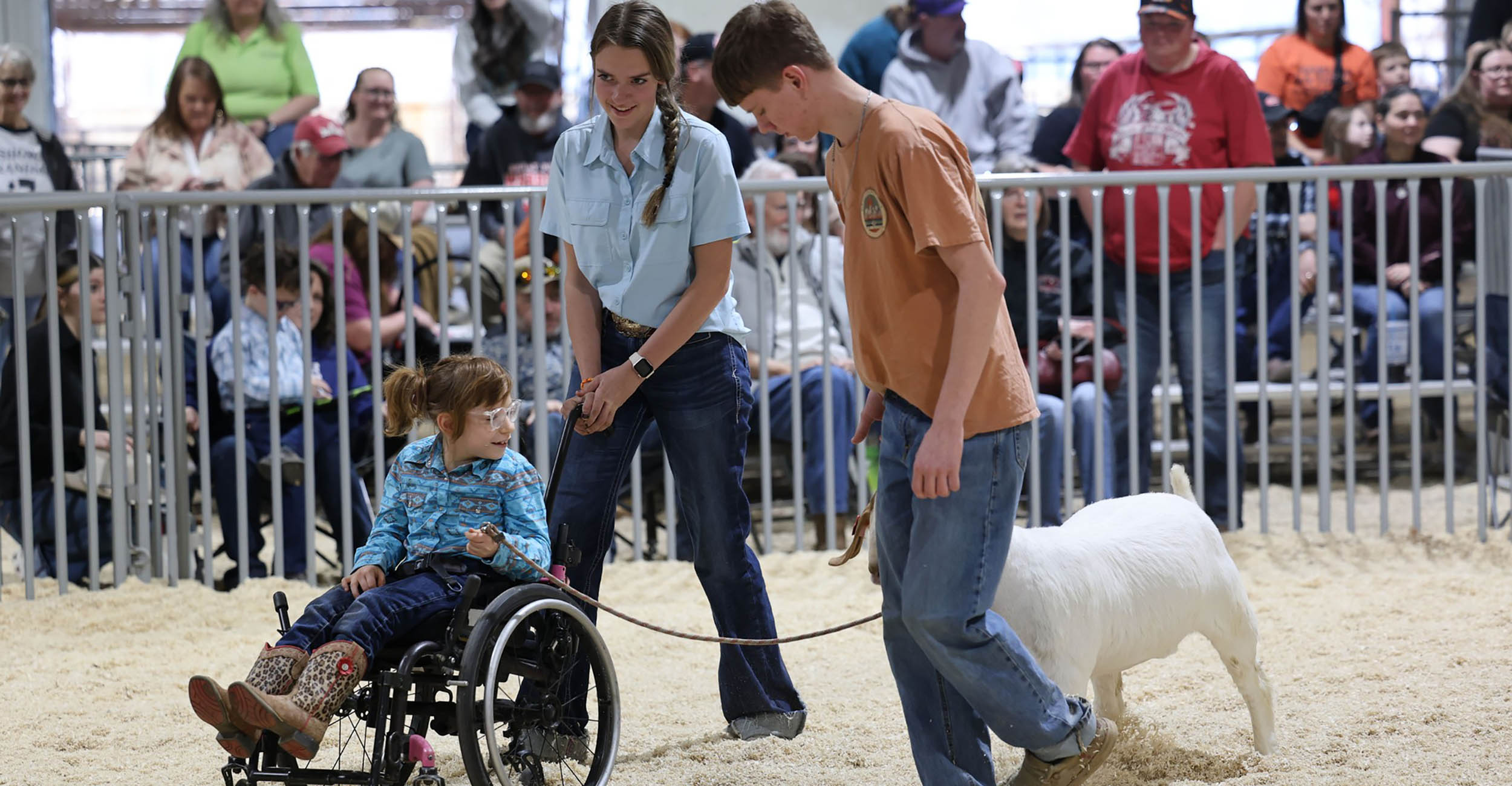A young girl with brown hair and clear-framed glasses sits in her wheelchair holding the lead rope to a white goat's halter. She is wearing a blue shirt, blue jeans and leopard print cowboy boots. A teenage girl with a brown hair braid in a blue shirt and blue jeans pushes the little girl's wheelchair. A teenage boy in jeans and a rusty-colored orange shirt walks alongside the goat. They are walking in a show ring of wood chips, and there is a blurred view of the crowd sitting in the stands.