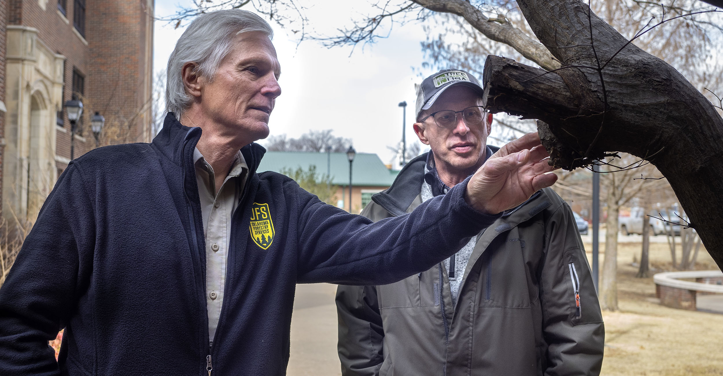 Two men looking at a tree.