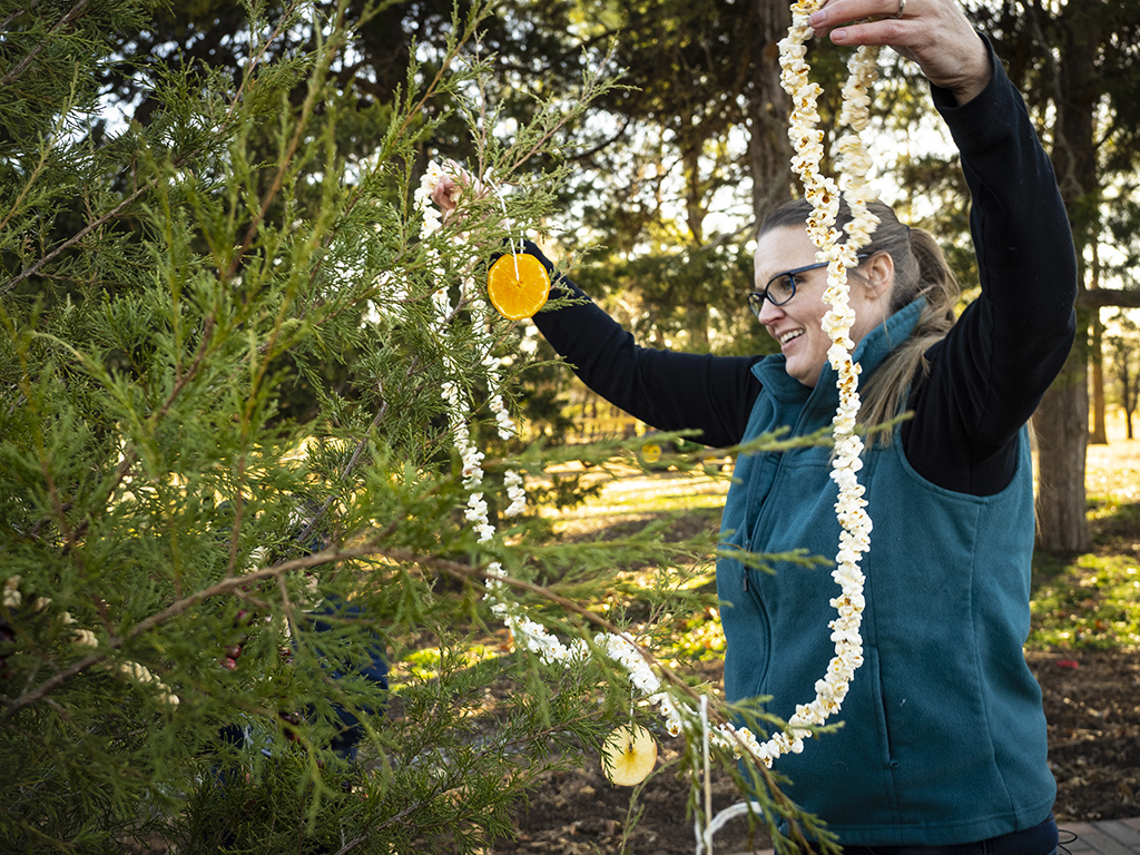 woman hanging popocorn garland on tree