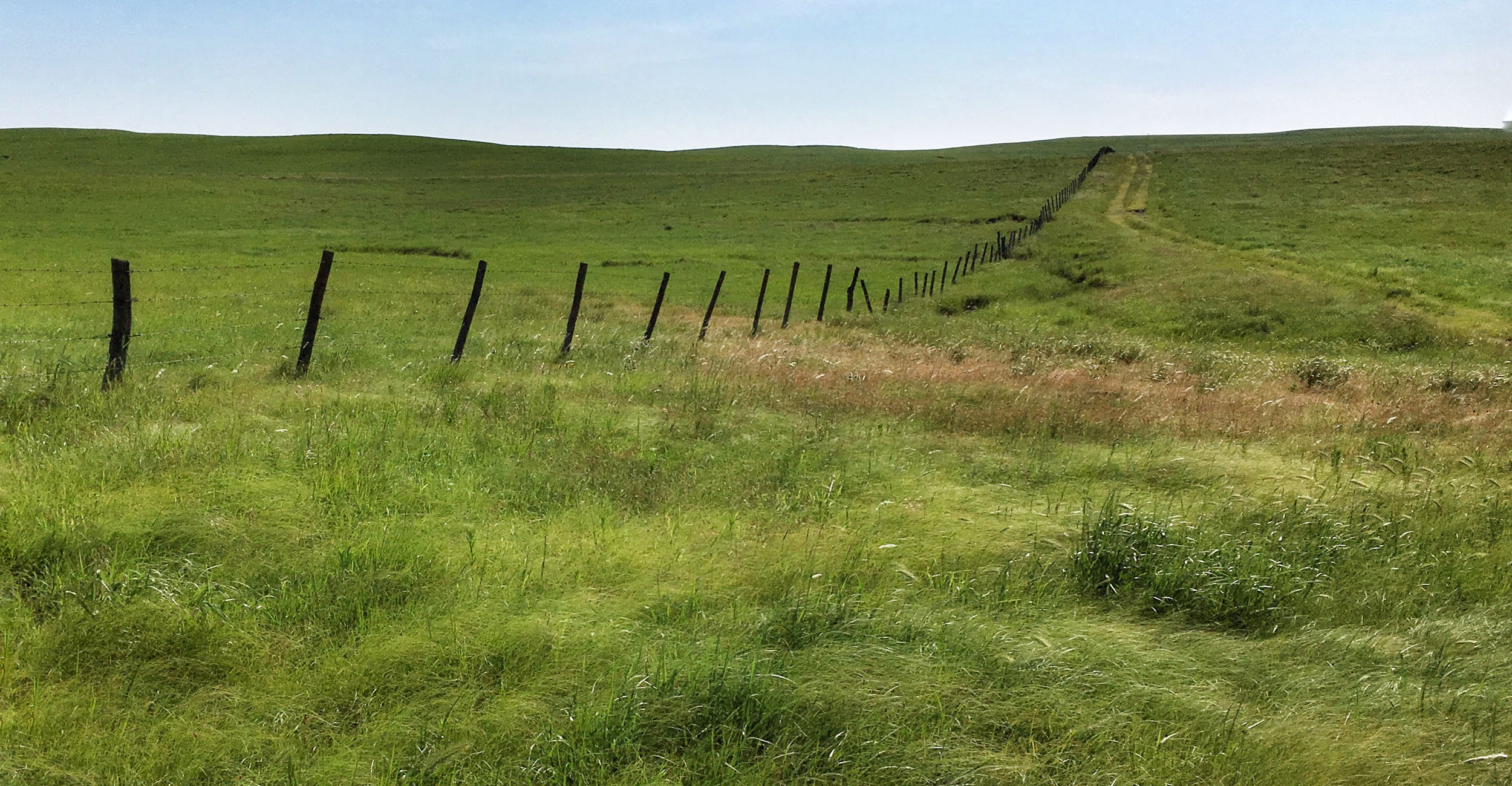 Photo of pasture with a fence running down the middle of it.
