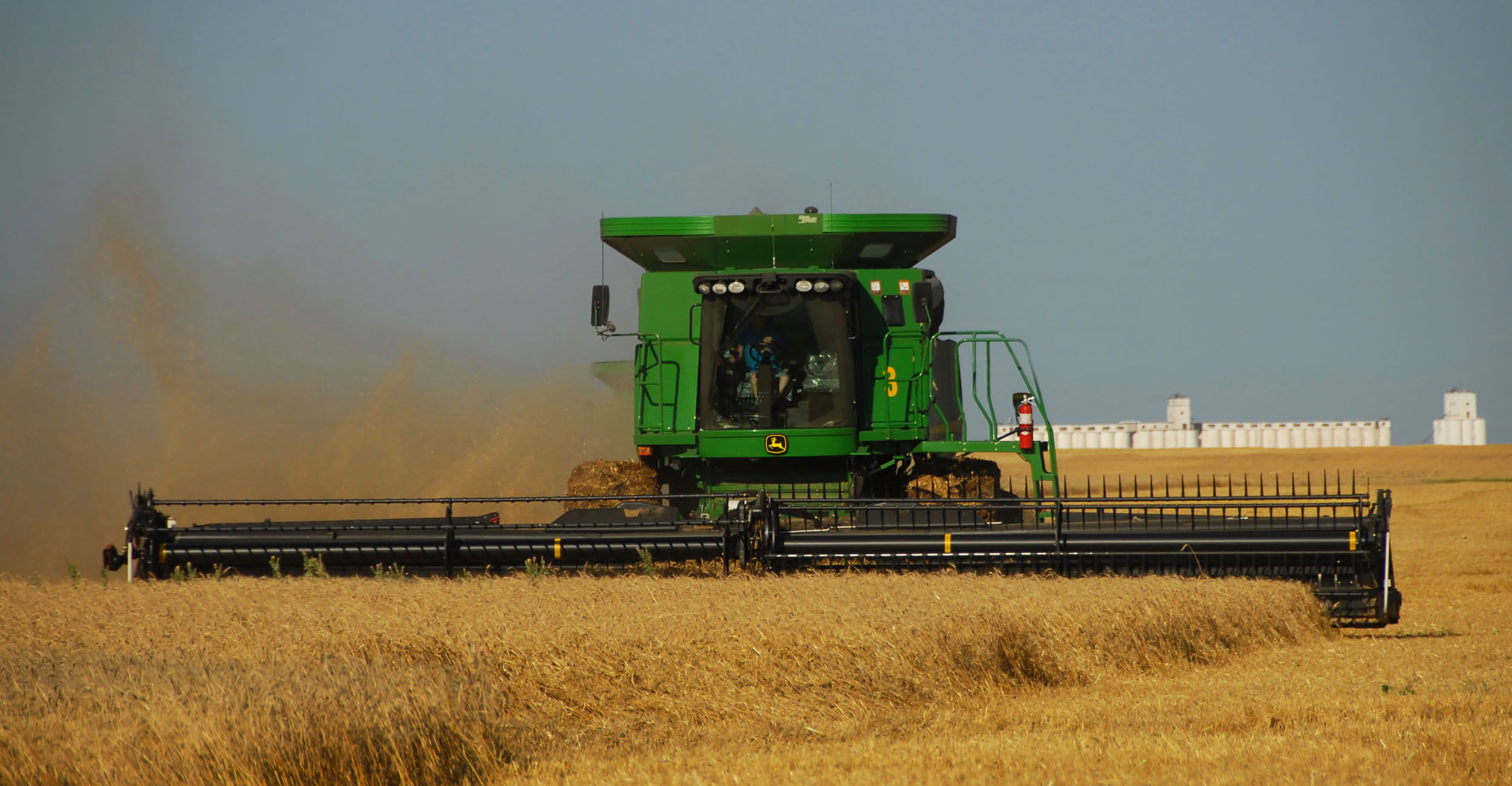 Photo of wheat being harvested.