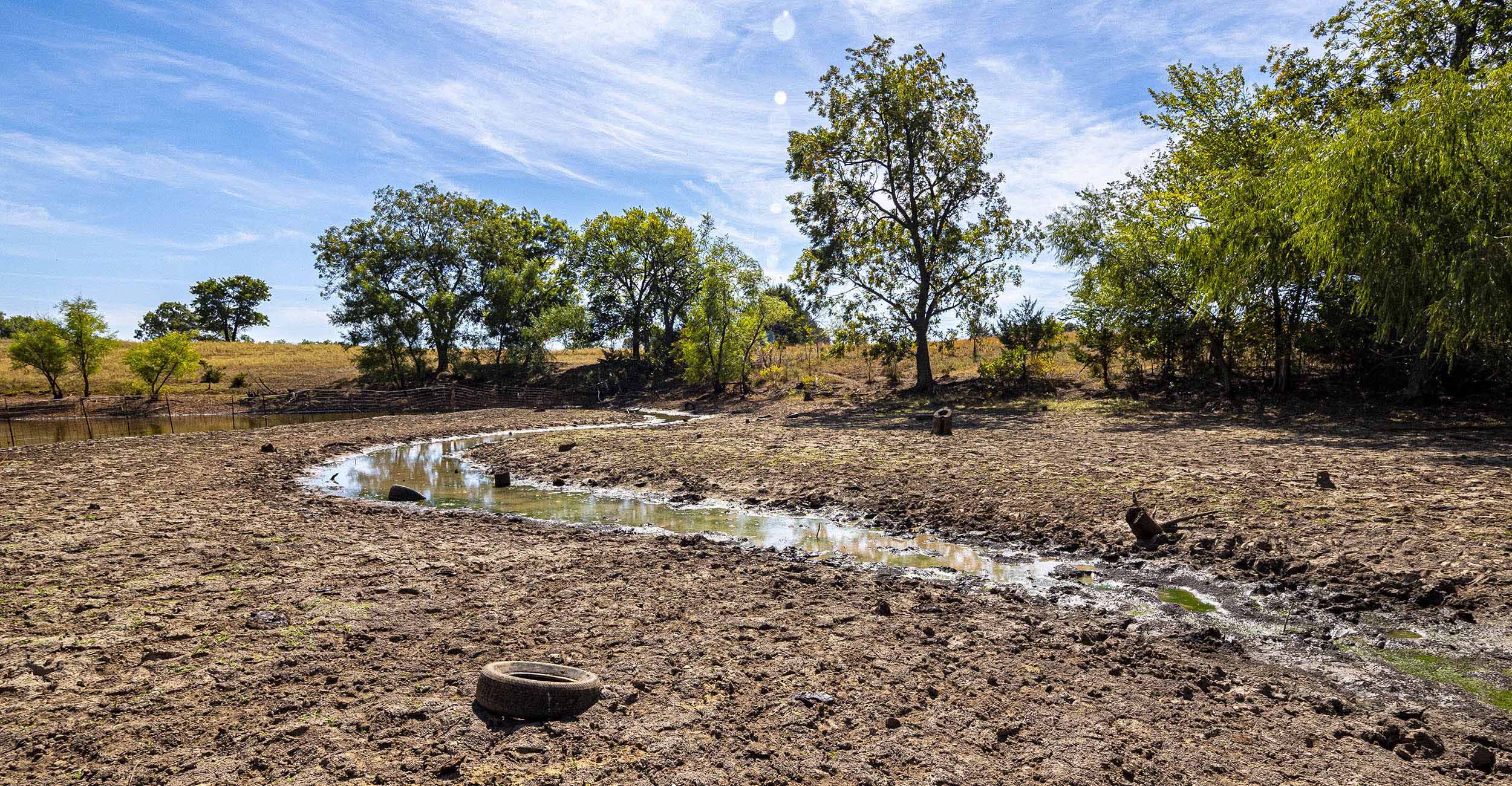 Producers encouraged to mitigate risk, take advantage of drought relief