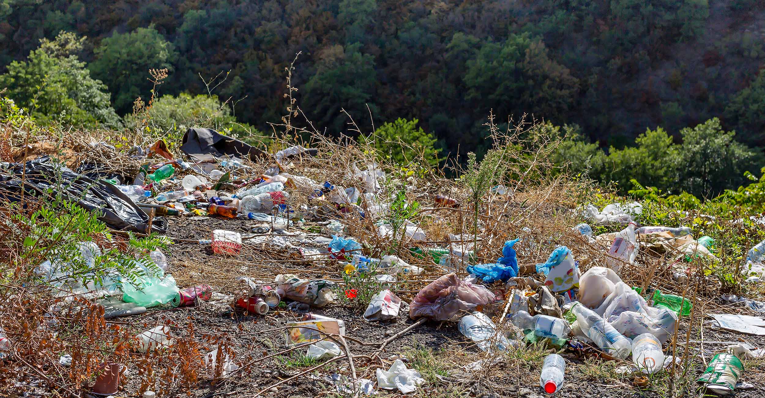 Roadside area covered in trash.