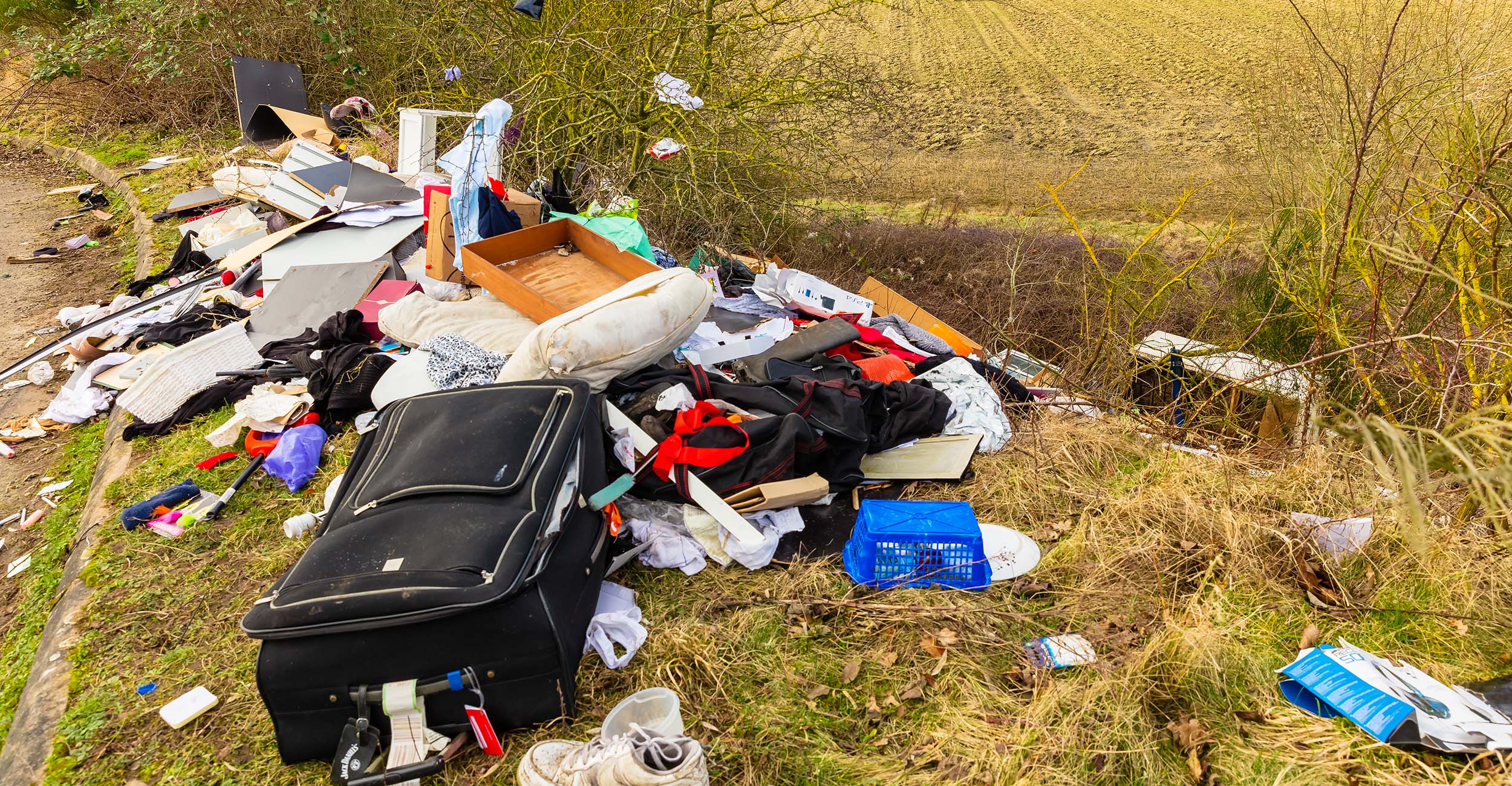 Land covered in garbage.