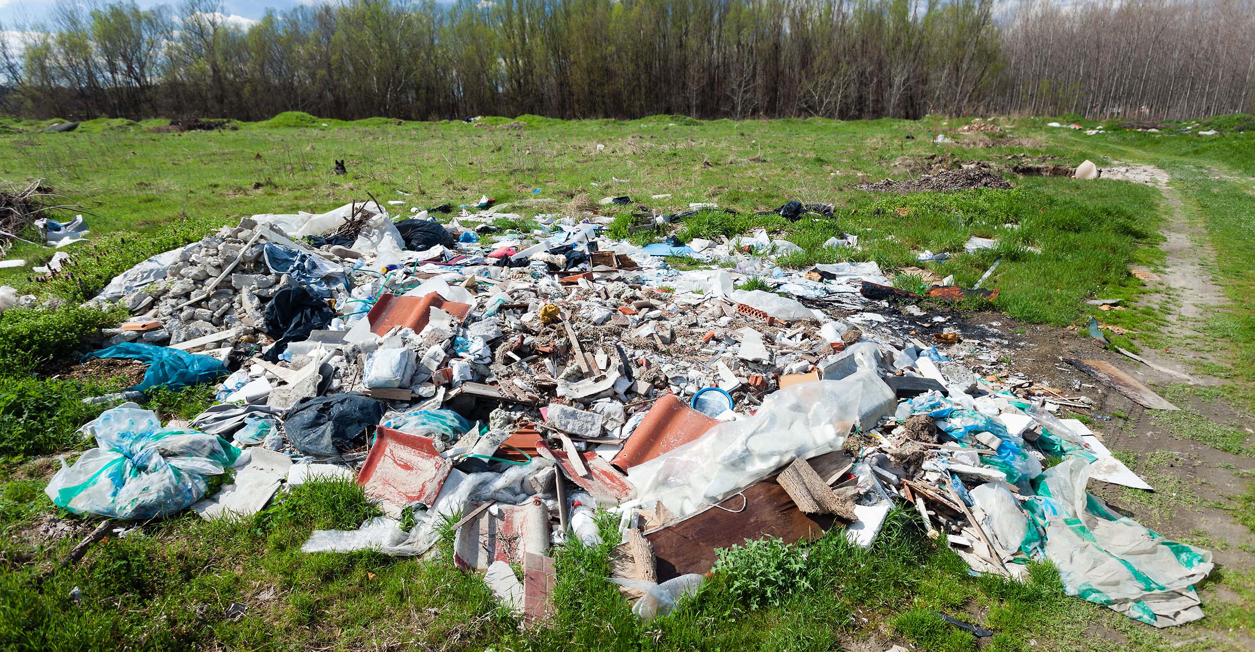 Pasture with an illegal dumpsite.