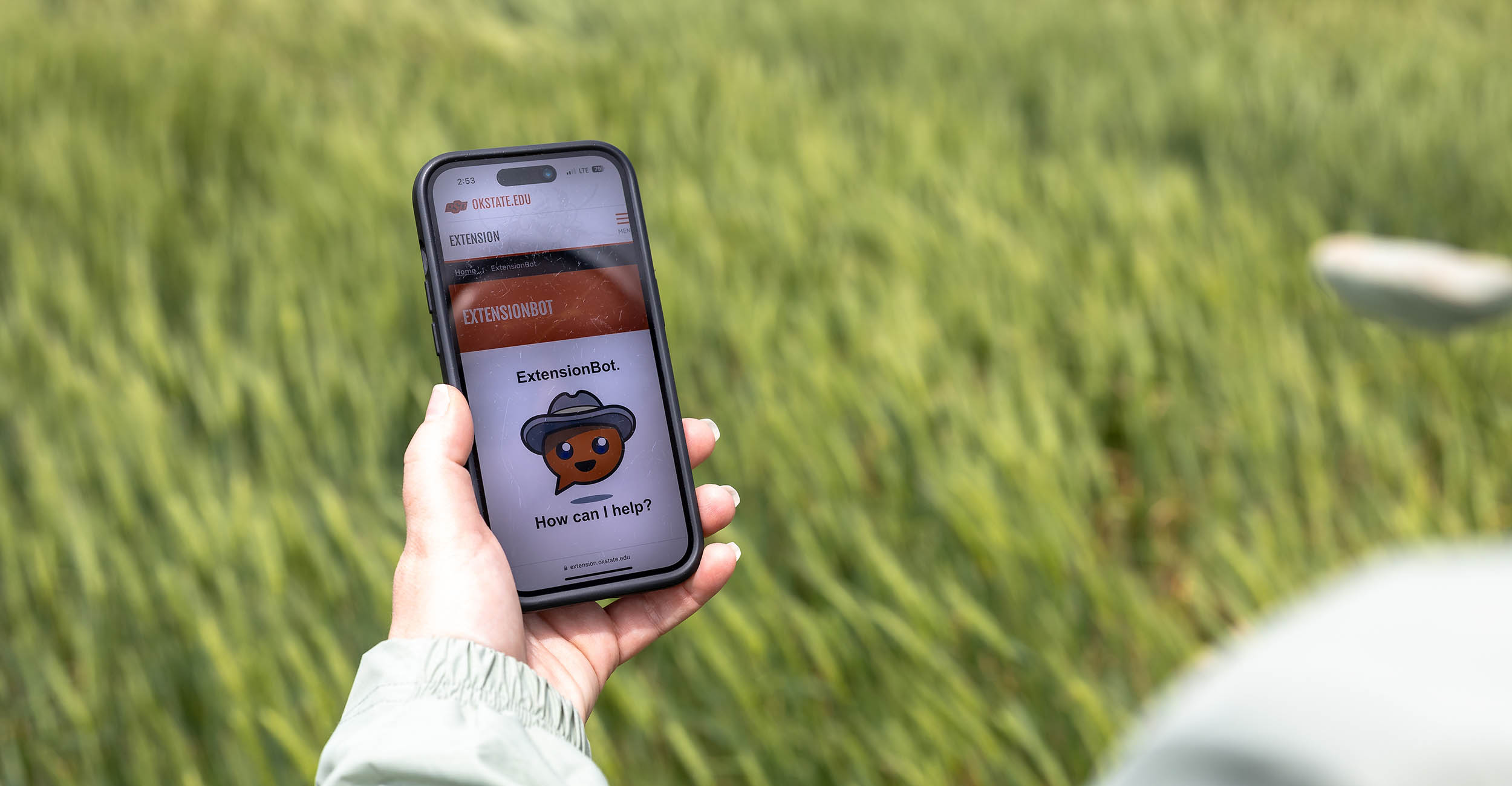 OSU developing AI chatbot to answer local Extension questions