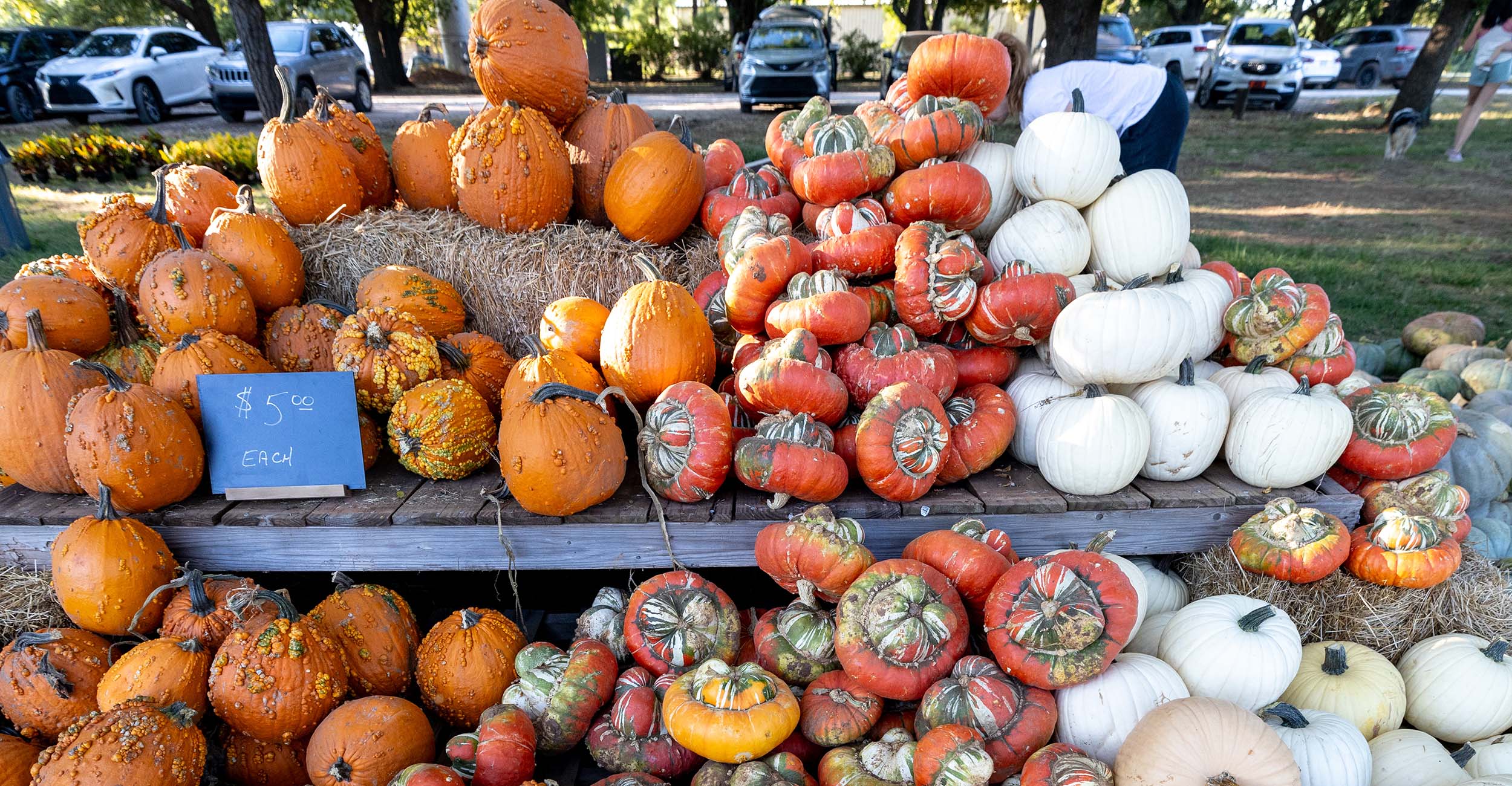 A table in a garden setting filled with pumpkins of various sizes and colors.