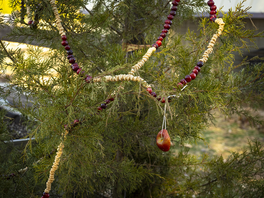 cranberry and cereal garland and apple ornament hanging on tree