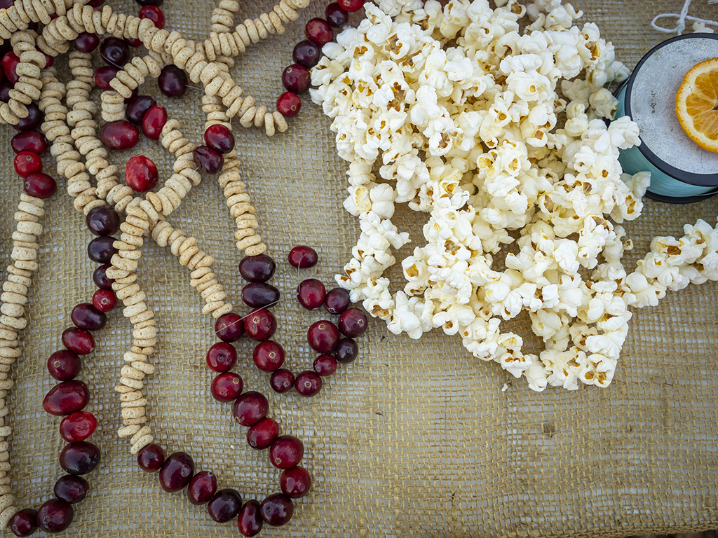 cranberry, cereal and popcorn garland on a table