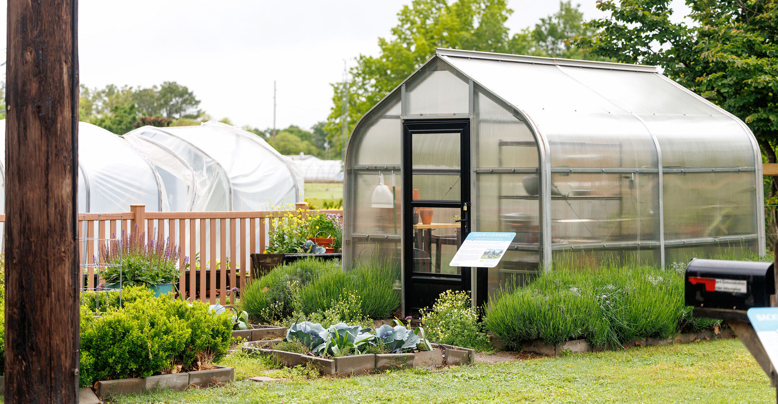A small greenhouse with a dark-colored door with various green plants situated around it.