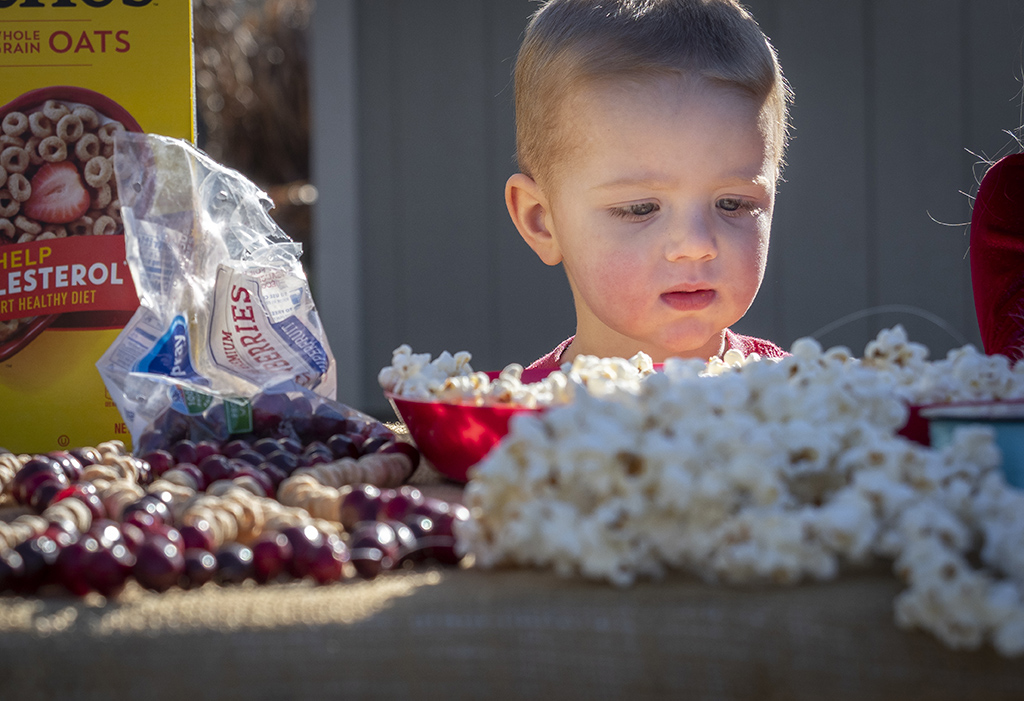 boy looking at tree decoration options on table