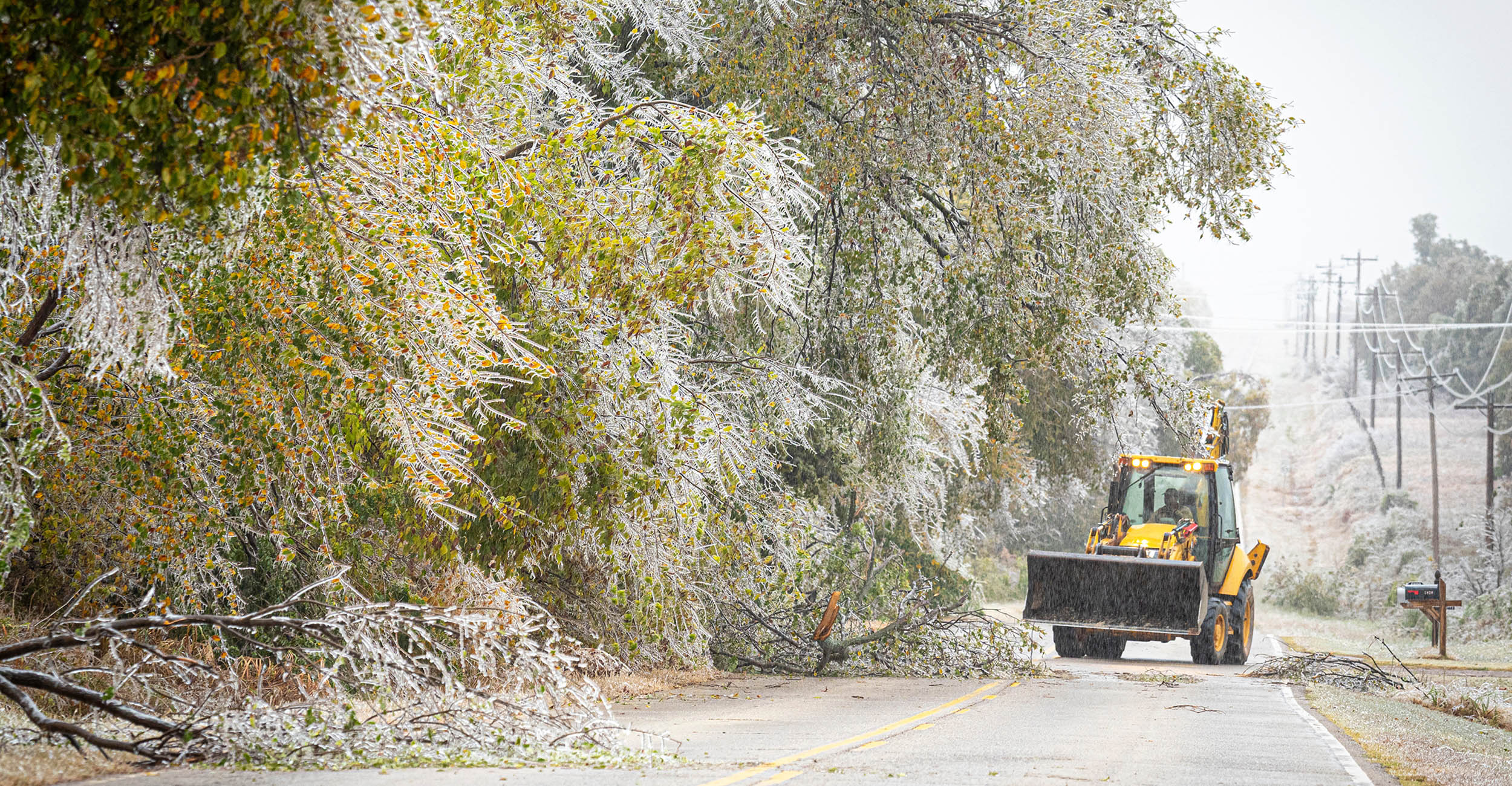 A two-lane highway with iced trees bent toward the ground, touching the ground along the left side of the highway. A yellow front-end loader pushes the icy tree branches off the highway.