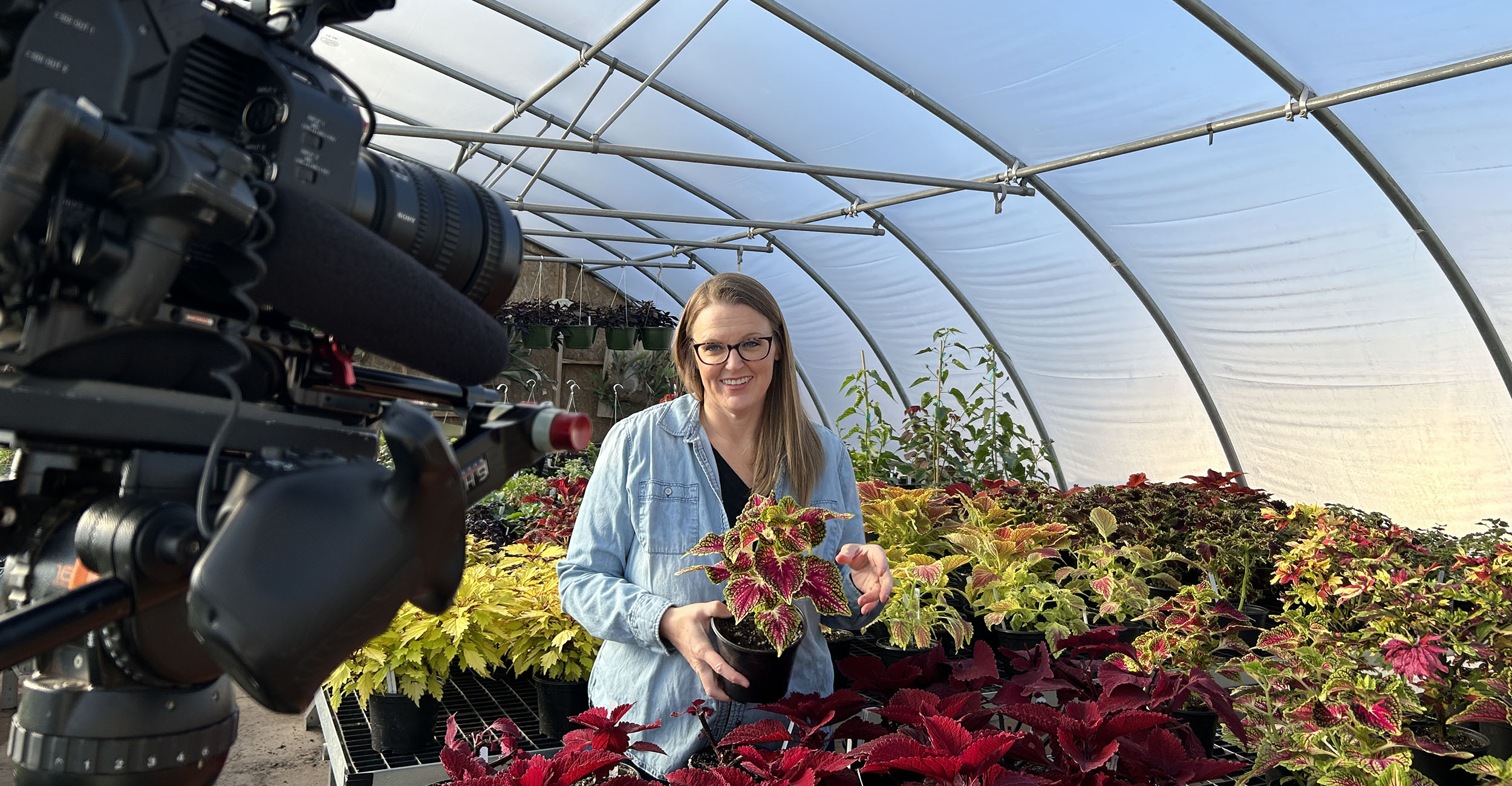Woman holding a plant while standing in front of a television camera.