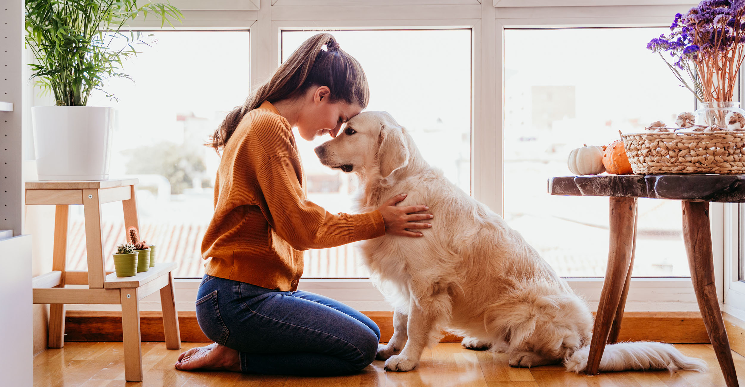 Pets Play Vital Role In Mental Health Oklahoma State University