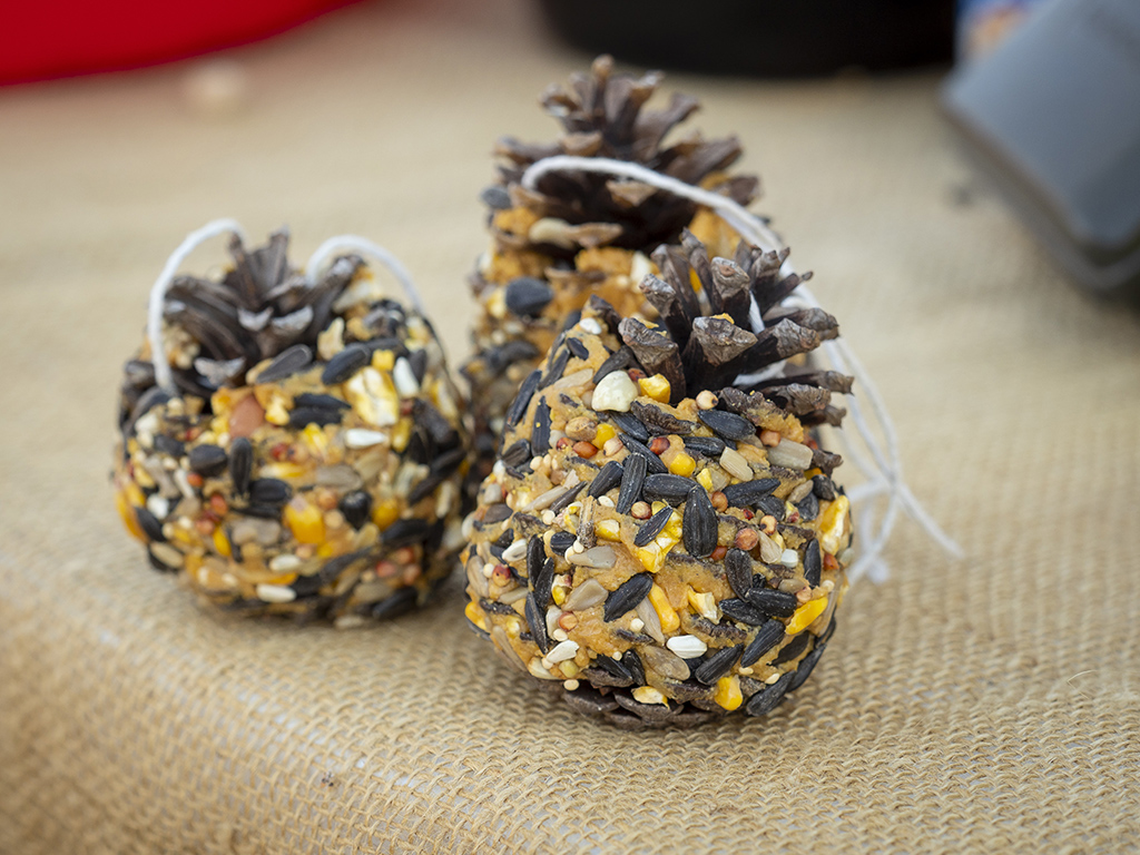 pinecone ornament with peanut butter and bird seed