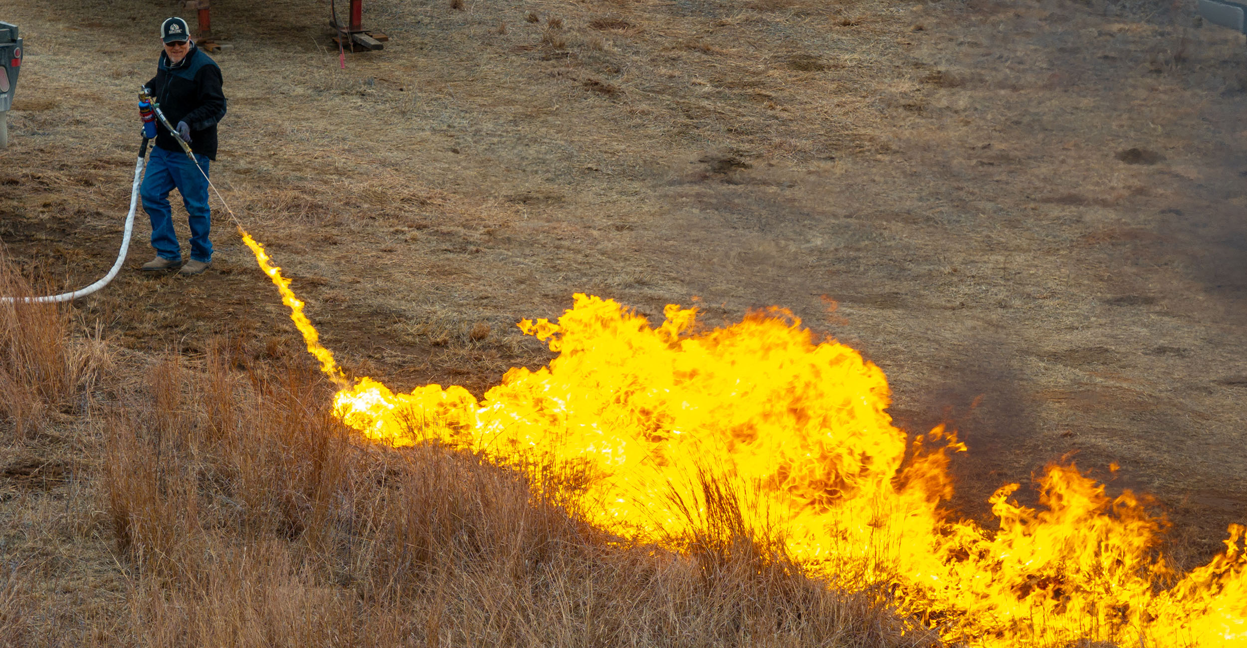 Man wearing a dark coat, jeans and a ball cap is setting fire with a torch to dried grass in a field.