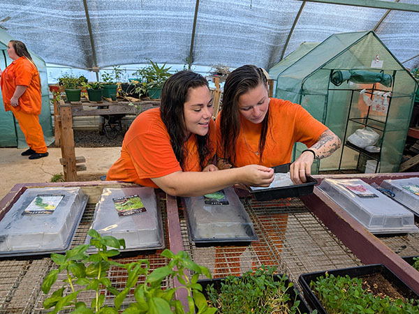Two women work with seedlings in a greenhouse as part of a prison gardening program, with plants and growing trays visible throughout the workspace.