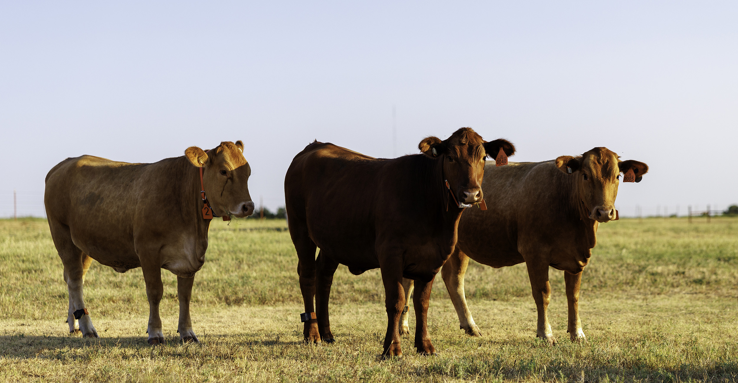 Agenda set for 2026 Rural Economic Outlook Conference at OSU