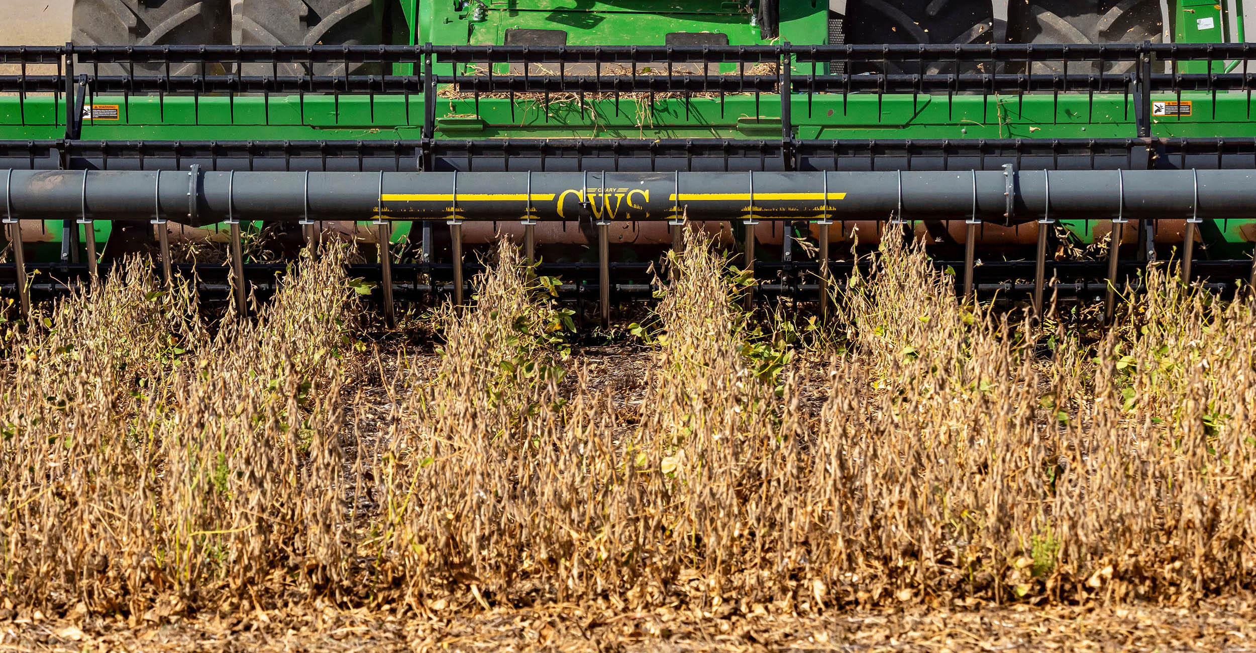 Photo of soybeans being harvested.