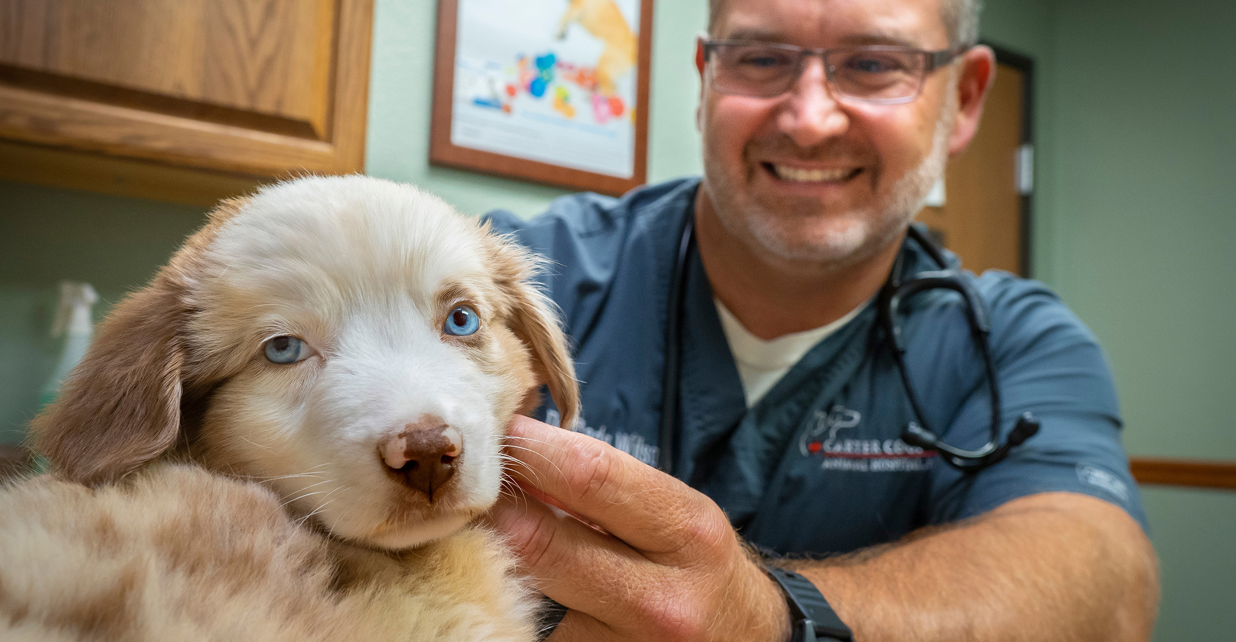 how long before dog vaccines are effective