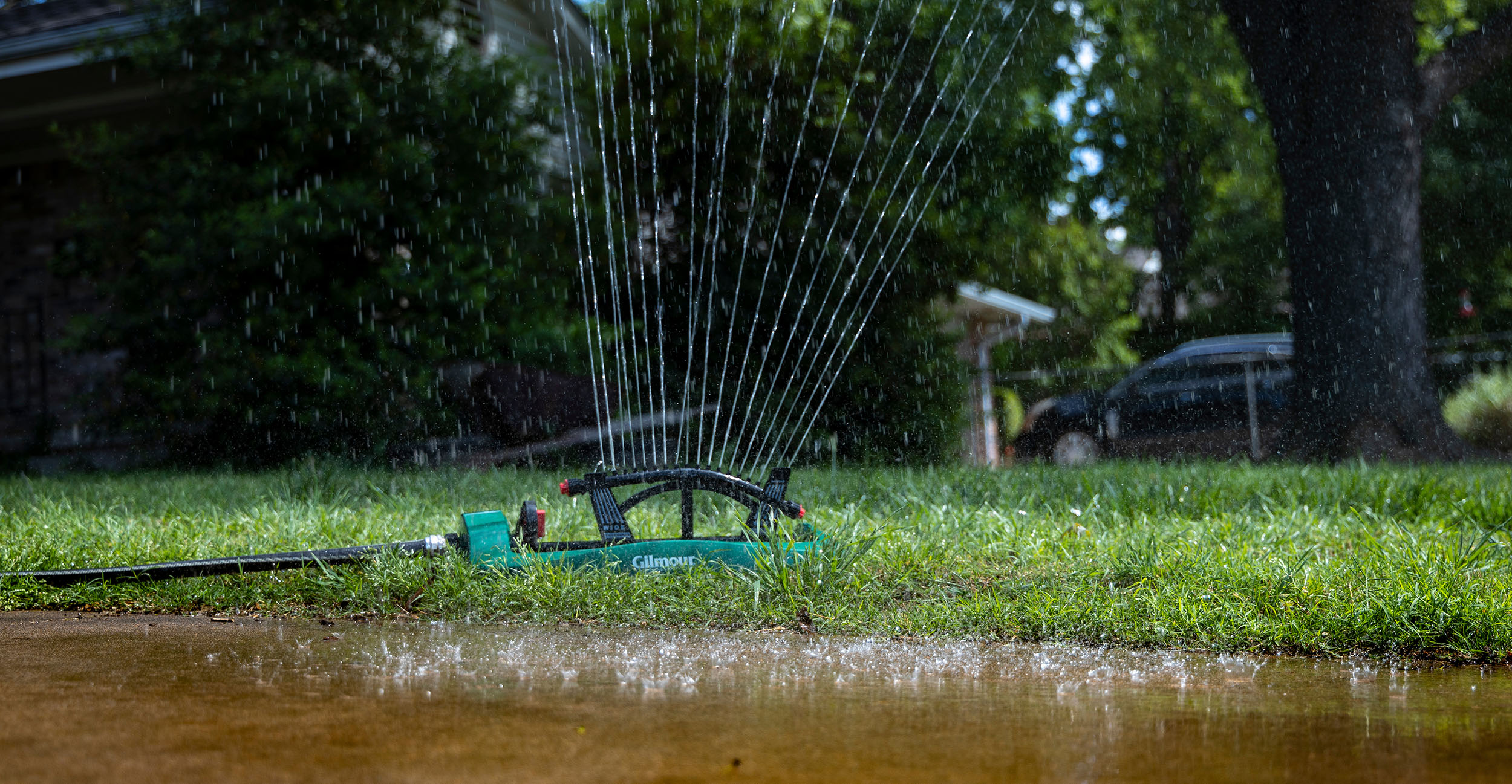 Landscaping tips to conserve water