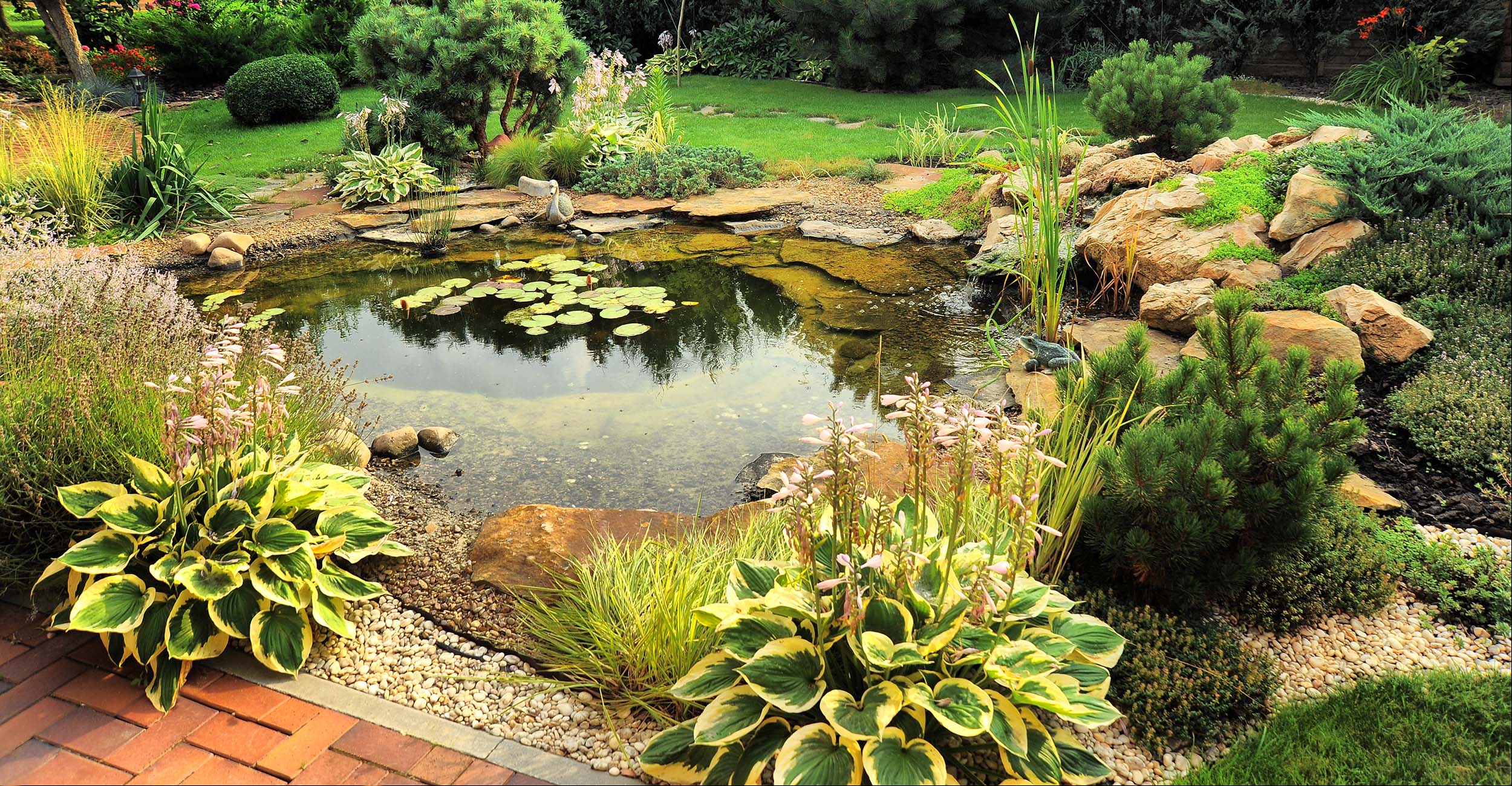 Water garden in a landscape.