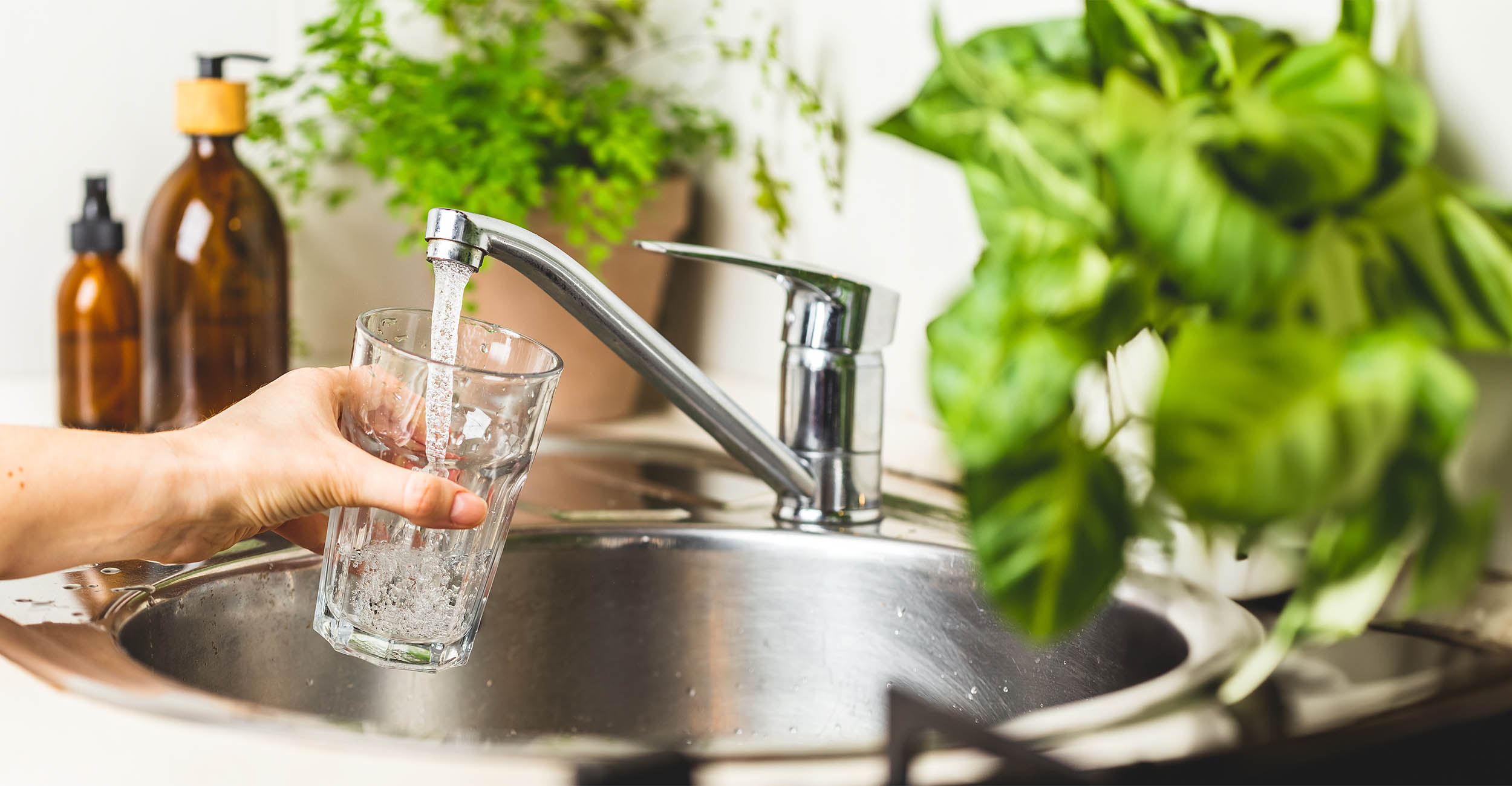 A hand holds a clear glass as it fills with water from a faucet above a stainless steel sink. There are green plants in pots blurred on each side of the sink.