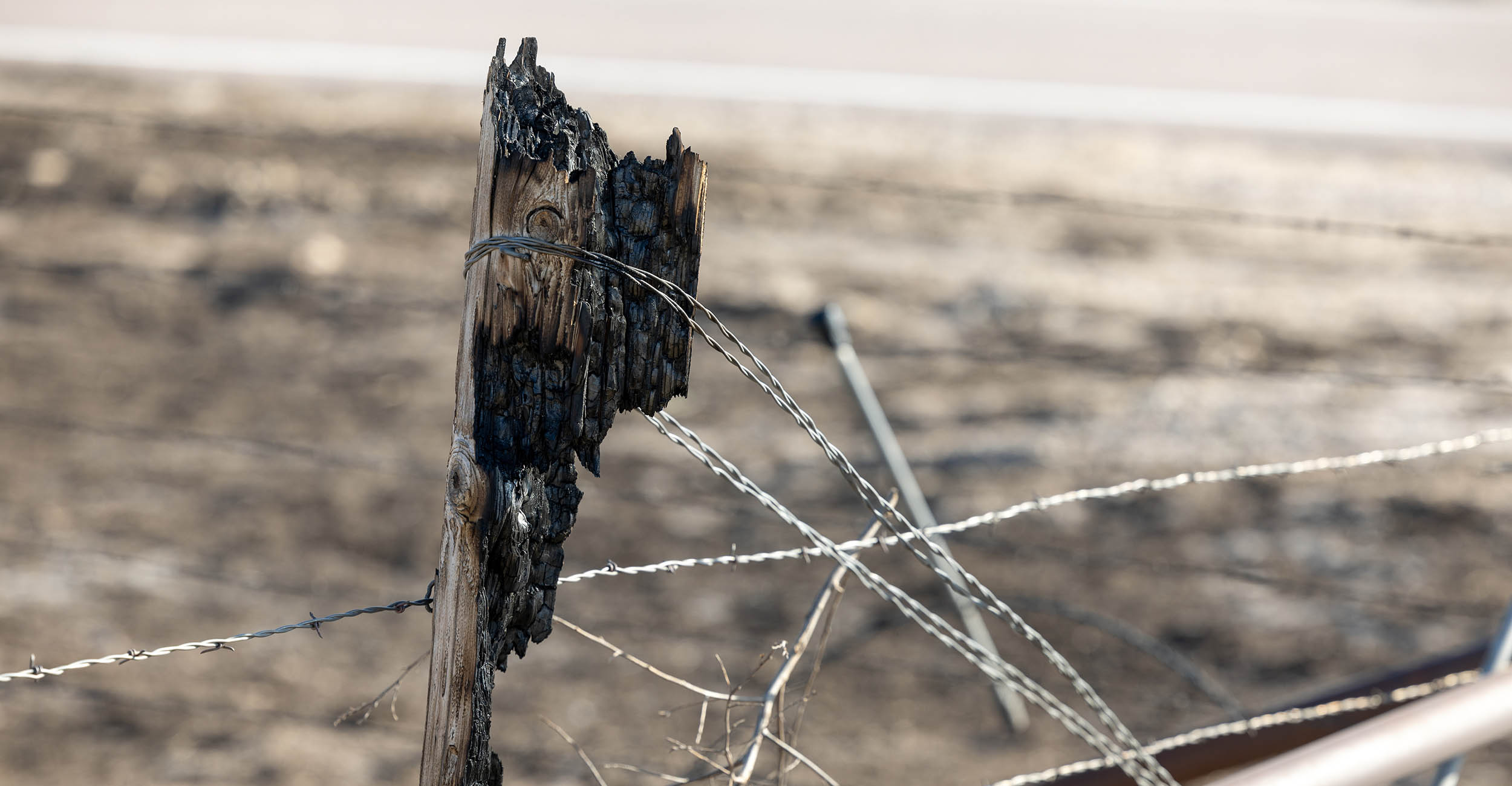 a burned-out wooden fence post still connected to charred barbed wire with burned pasture land in the background