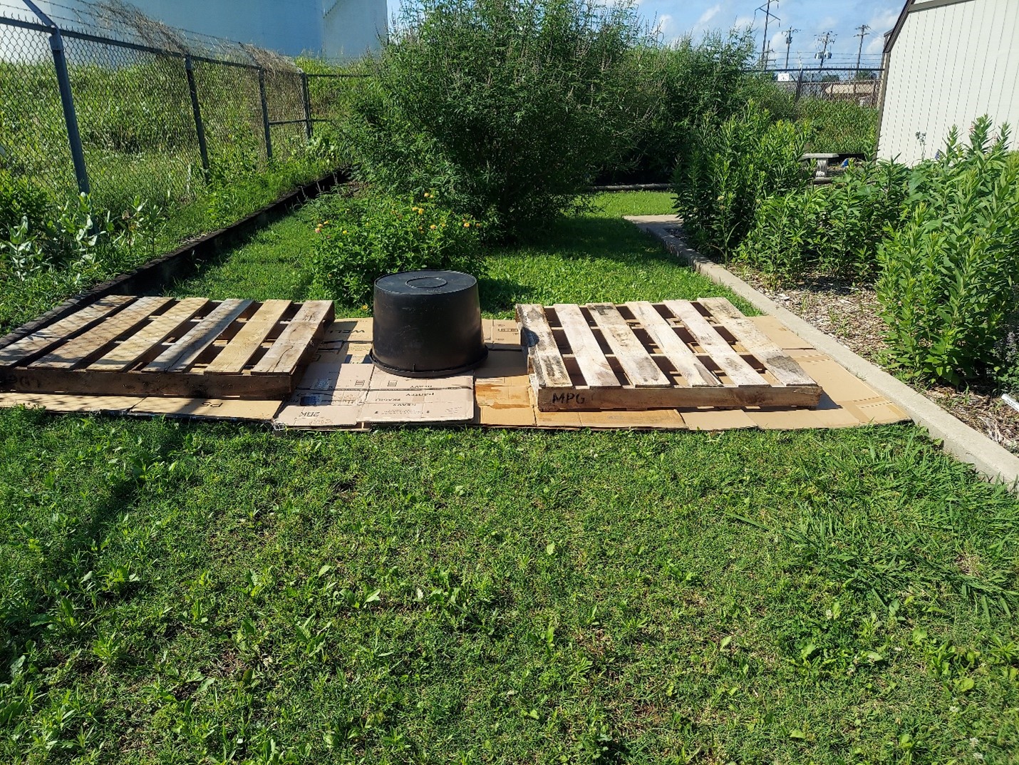 Wooden pallets and a mineral tub on flat cardboard covering grass. Wooden pallets and a mineral tub on flat cardboard covering grass.