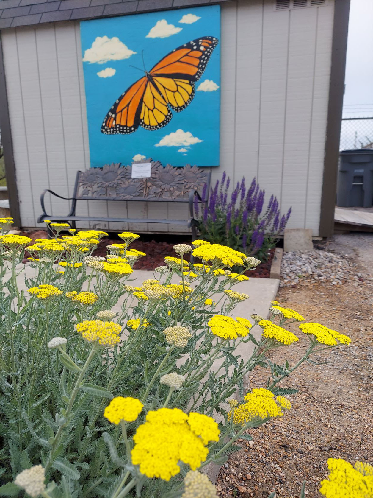 Butterfly garden. Butterfly garden.
