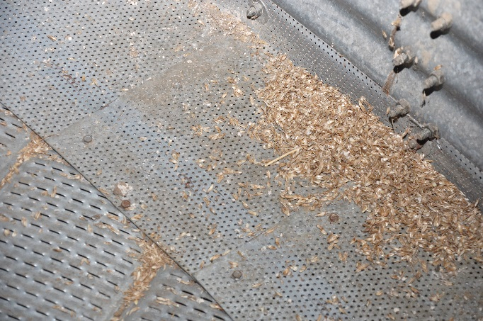 Residual grain and dust at the base of the bin.
