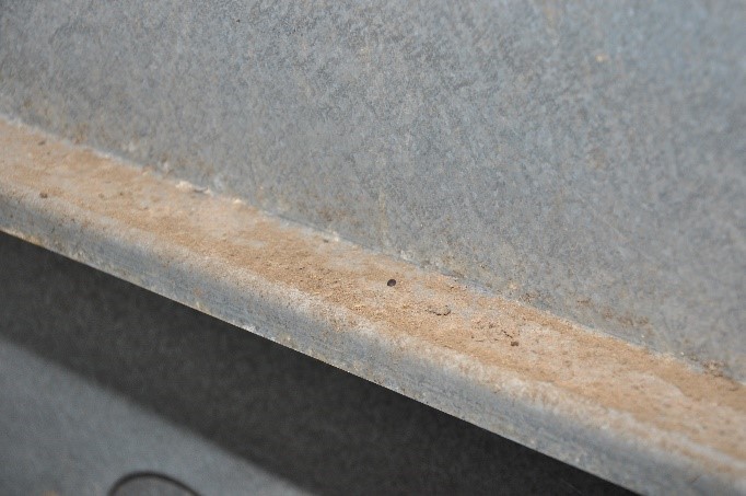 Residual grain and bust on a ledge inside the bin.
