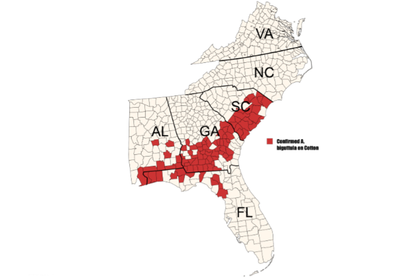 A map of the Southeast corner of the United States with county lines. Some counties are marked red in Florida, Alabama, Georgia and South Carolina.