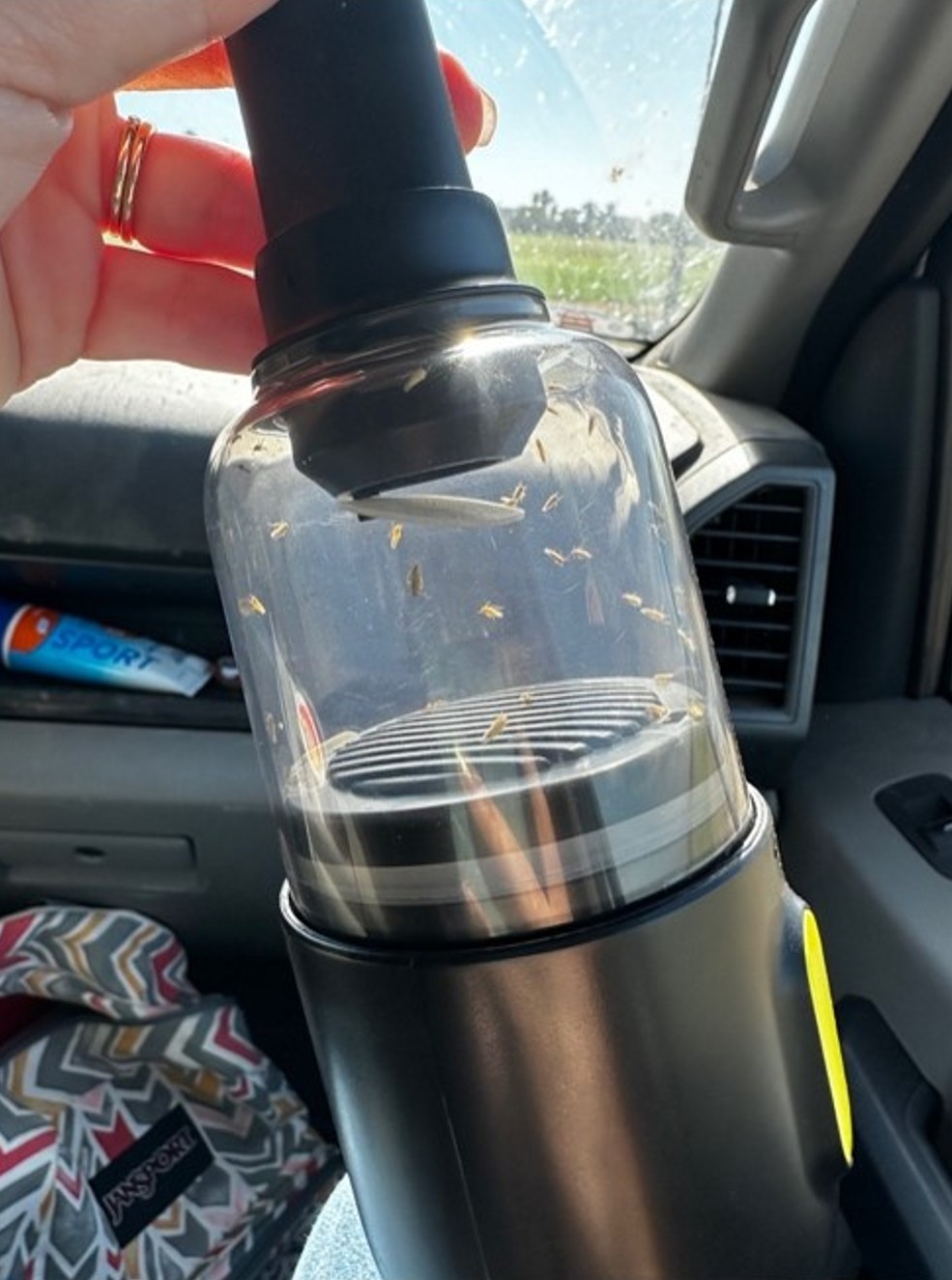 A small handheld vacuum with a clear collection chamber containing several captured leafhoppers visible inside. The transparent container allows the insects to be easily seen while being collected for sampling or research.