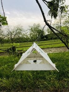 pnc-pheromone-trap-fig-5.jpg A white, tent-like pheromone trap hanging from a tree.