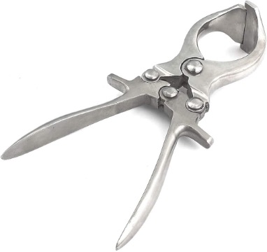 Burdizzo Emasculatome The tool is made of silver metal and has two long handles connected by a pivot joint. At the top, there is a rounded, clamp-like head with a curved opening designed to grip and crush tissue. The mechanism includes multiple rivets and a locking or pressure system for controlled use.
