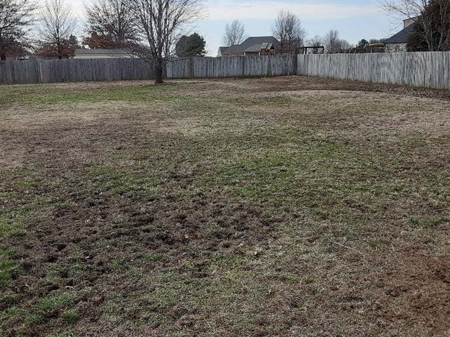 Muddy yard with increased problems based on large dog traffic. Muddy yard with increased problems based on large dog traffic.