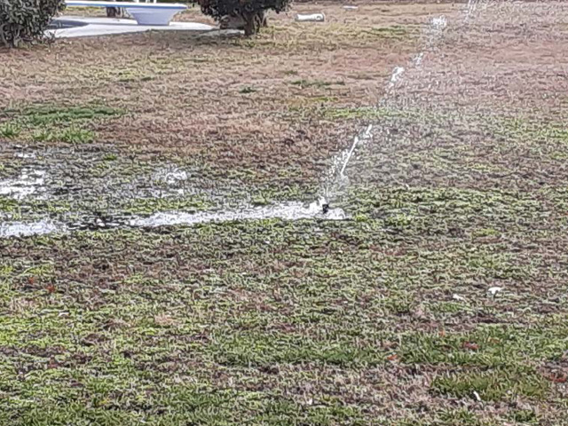 Waste treatment system impact-type sprinkler for distribution of treated waste. Waste treatment system impact-type sprinkler for distribution of treated waste.