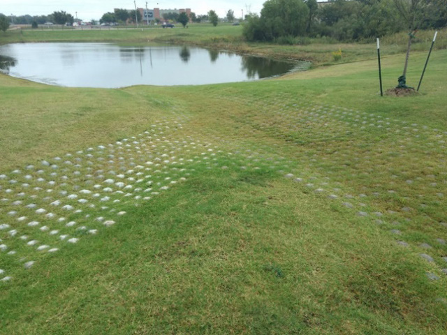 Lawn with a drain field. Lawn with a drain field.